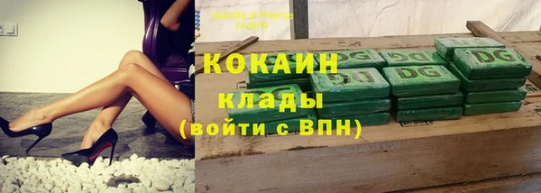 кокс Белокуриха