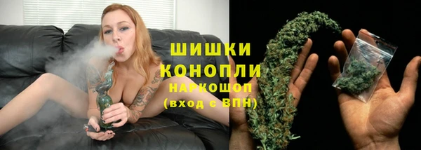 кокс Белокуриха