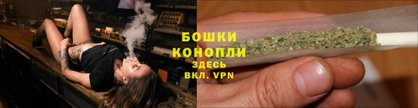 кокс Белокуриха