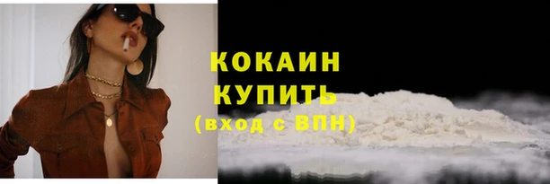 кокс Белокуриха